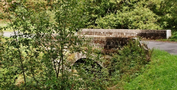 Pont sur le Vianon - Saint-Hilaire-Luc