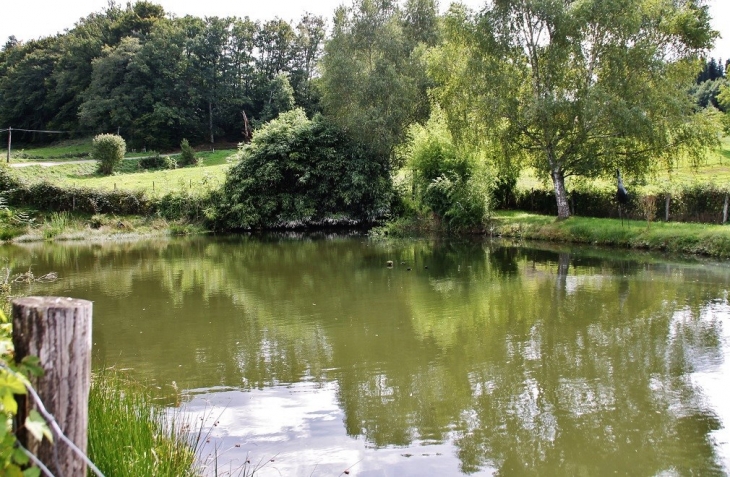 L'étang de pêche - Saint-Hilaire-Luc