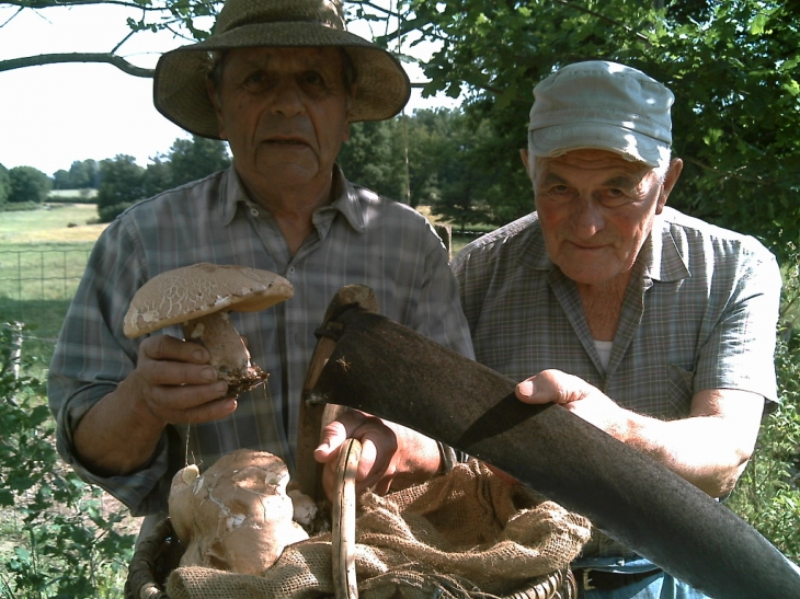 Les champignons font leur apparisions a la bizalie de st jal  - Saint-Jal
