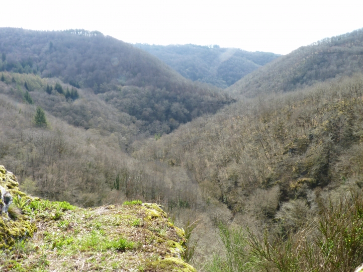 Vue-sur-les-collines boisées - Saint-Pantaléon-de-Lapleau