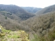 vue-sur-les-collines boisées