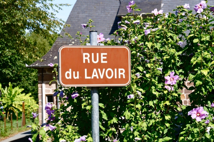 La rue du Lavoir. - Saint-Viance