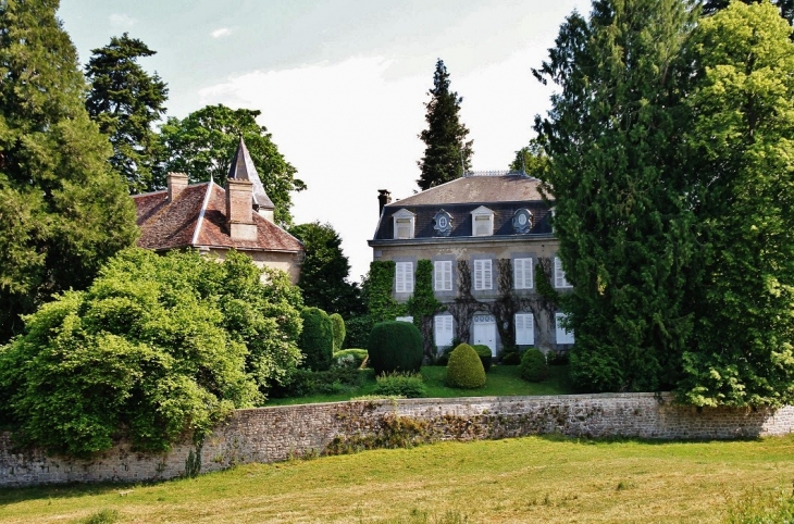 Le Château - Chard