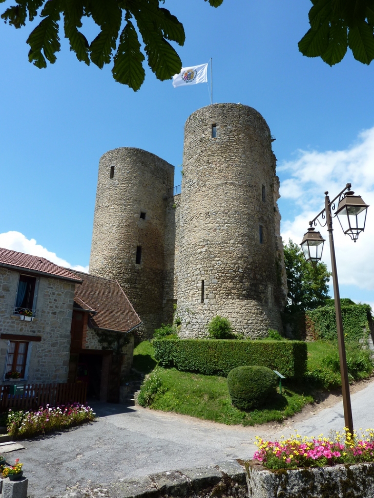 Ruines du château  XIIème - Crocq