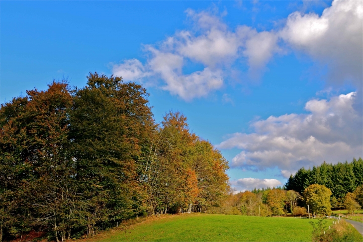 Aux alentours. - Maisonnisses