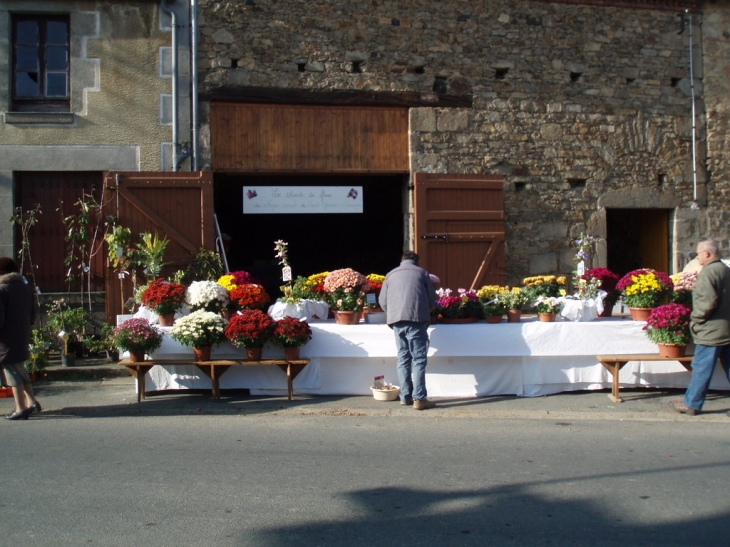 Foyer rural, stand des fleurs - Saint-Germain-Beaupré