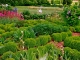 Photo suivante de Rilhac-Lastours Le Jardin de l'An Mil