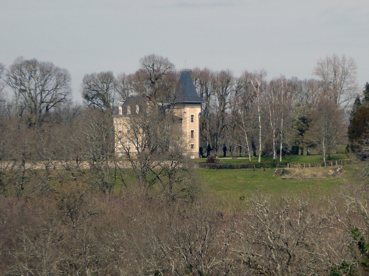 Vue sur le château - Verneuil-sur-Vienne