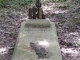 tombe  de henri brugere 11 02 1914 dans le bois de hoéville