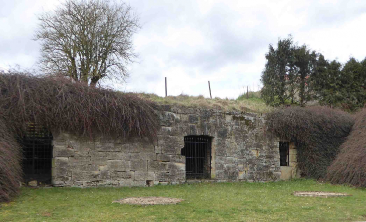 Le souterrain de l'ancien château de Preutin - Preutin-Higny