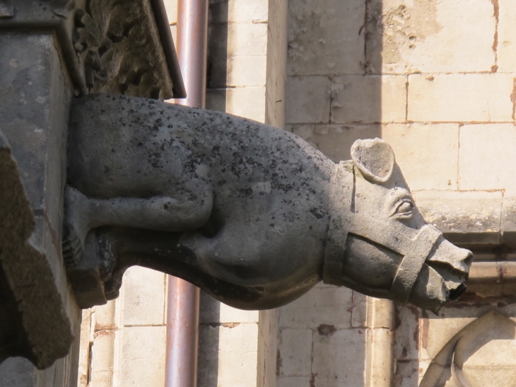 Gargouille du Cloitre de la Cathédrale - Toul