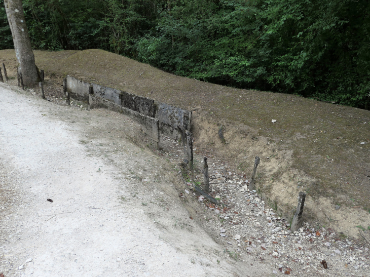 Le boyau de Londres : fossé de communication reliant les tranchées et le fort et permettant le ravitaillement - Douaumont