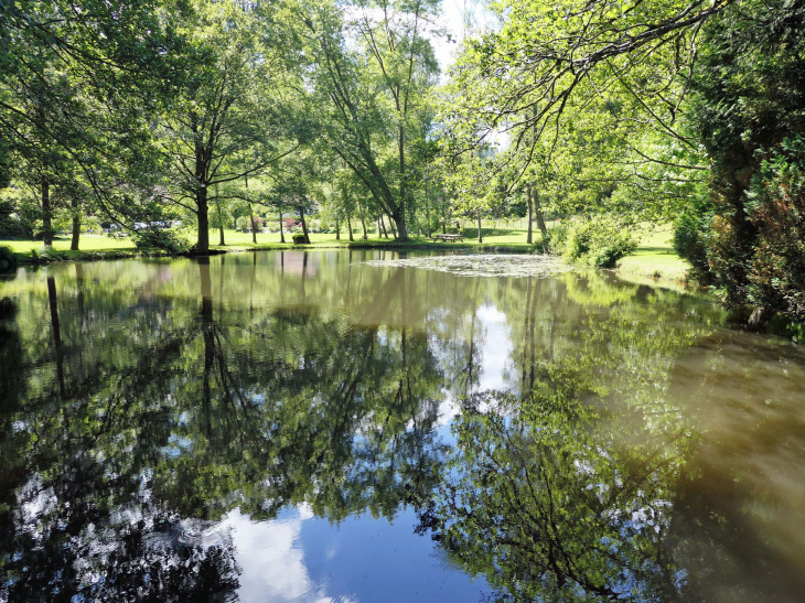 Lettenbourg : l'étang - Abreschviller