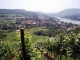 Photo suivante de Contz-les-Bains vue du vignoble