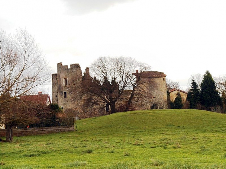 Les ruines du château - Louvigny