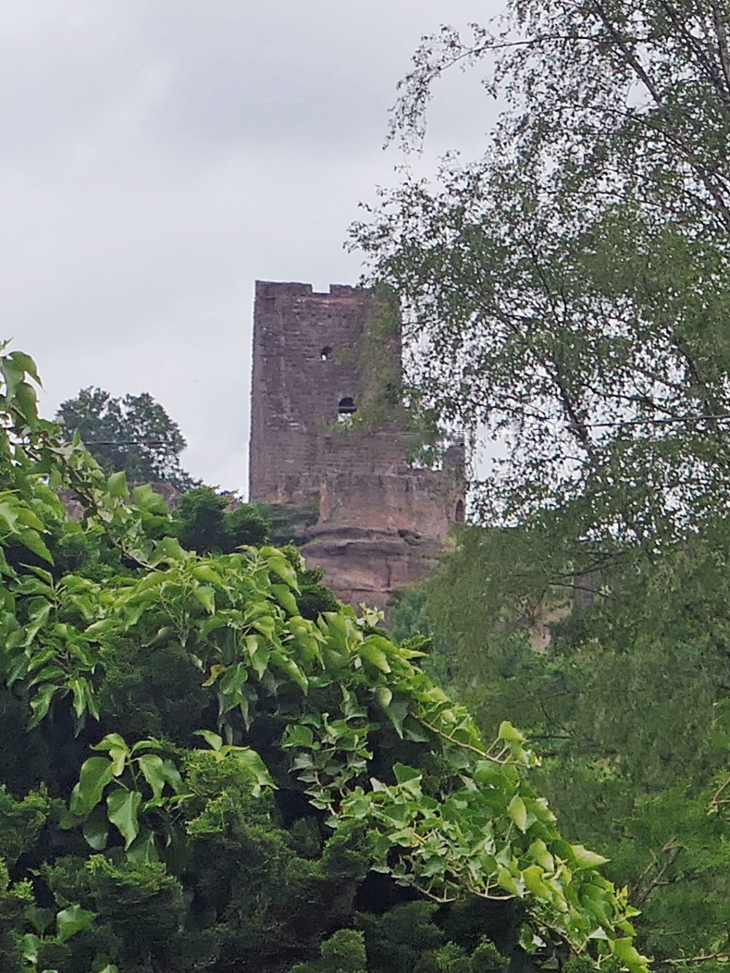 Les ruines du château - Lutzelbourg