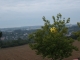 Photo précédente de Metz vu depuis valliéres