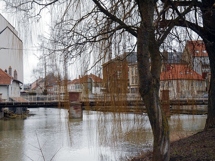 Rives de la Sarre - Sarrebourg