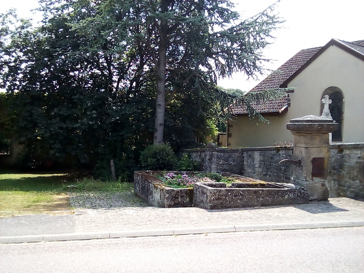 Ancien lavoir - Dommartin-lès-Vallois