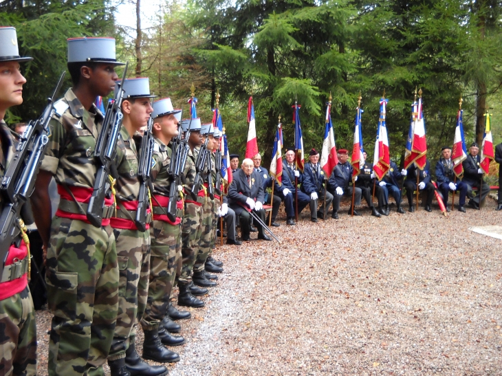 1er Régiment de Tirailleurs d'Epinal et les nombreux porte-drapeau,lors de la cérémonie - Éloyes