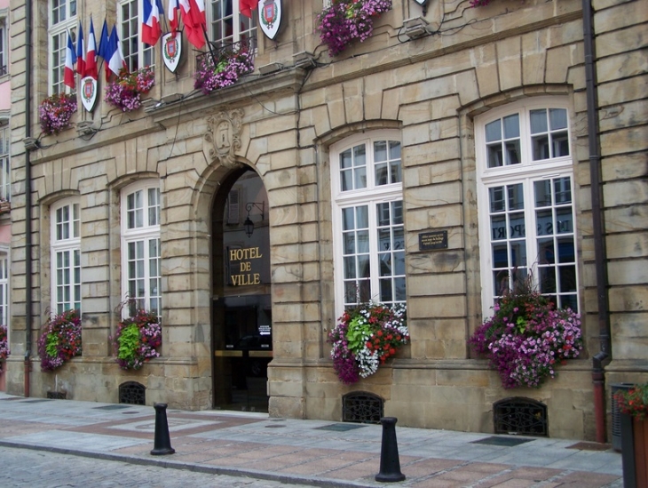 Hôtel de Ville Epinal - Épinal