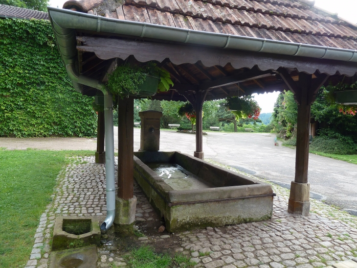 Fontaine dans le parc du château - Épinal