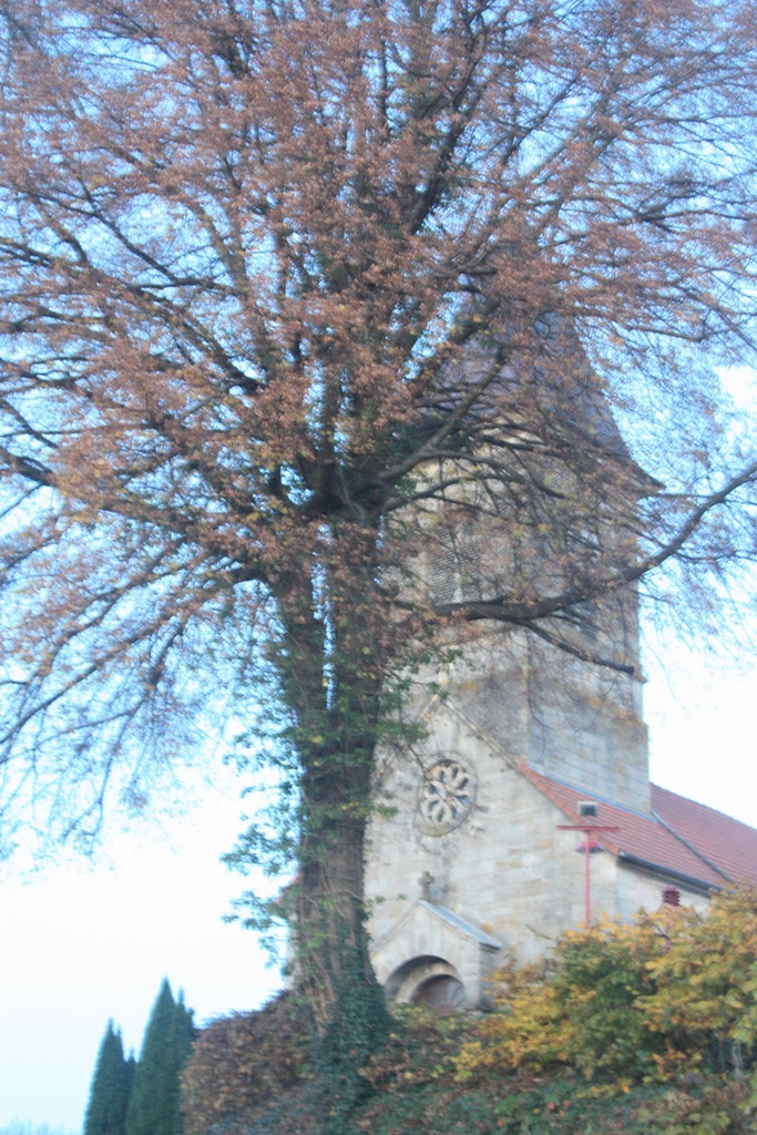 Eglise - Fremifontaine