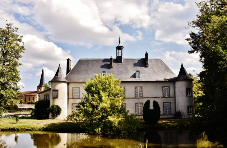 Château - Girecourt-sur-Durbion