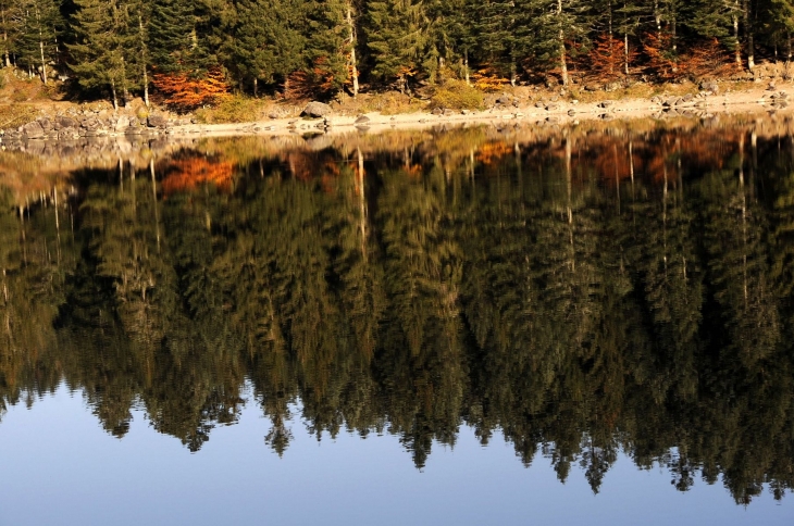 Le lac des Corbeaux en automne - La Bresse
