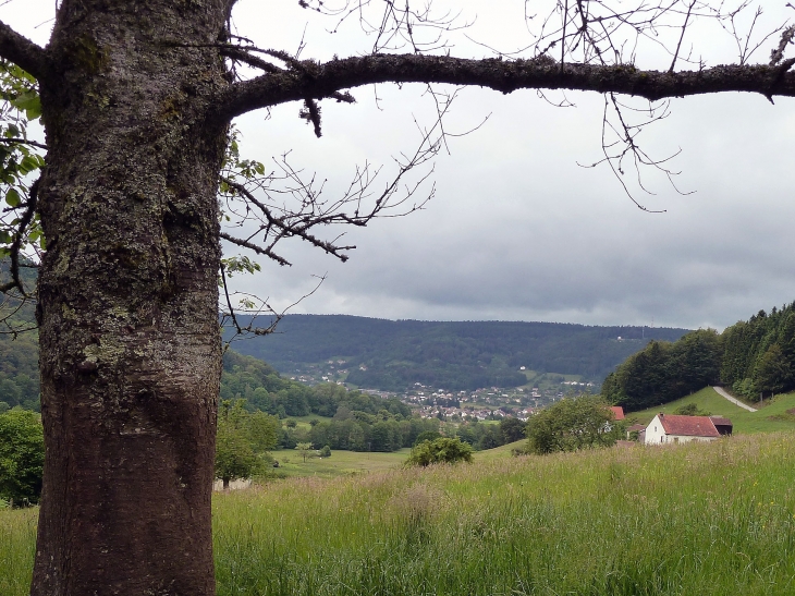Le village vu de la montagne - Le Val-d'Ajol