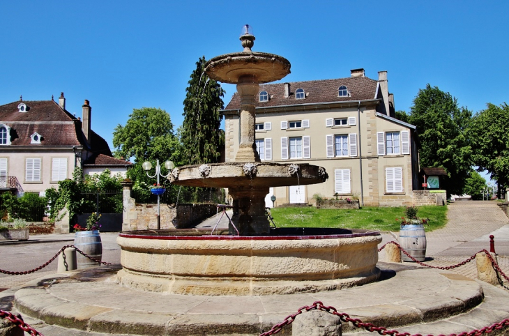 Fontaine - Monthureux-sur-Saône