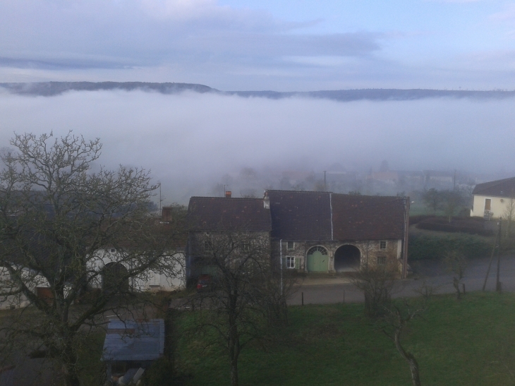Robe de brouillard le matin a 9h00 - Removille