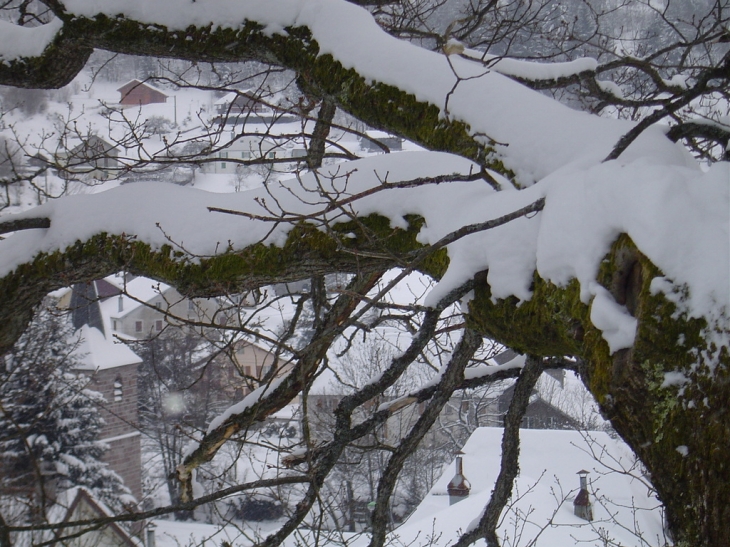 Photo à Sapois (88120) Alentours de Sapois, 32035