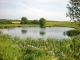 Photo précédente de Tranqueville-Graux la louvière de Tranqueville