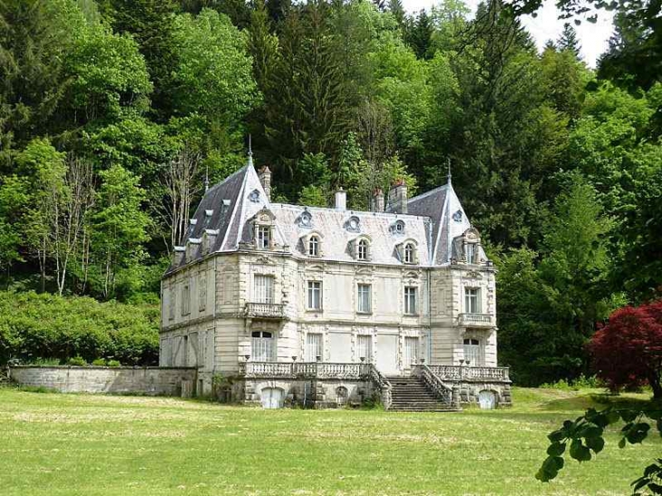 Le château de Semouse (ou château de Pruines) - Xertigny