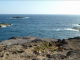 Presqu'île de la Caravelle : vue sur la baie du Trésor