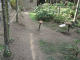 Zoo de la Martinique : volière