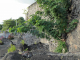 Photo précédente de Saint-Pierre les ruines des maisons de commerce du Figuier