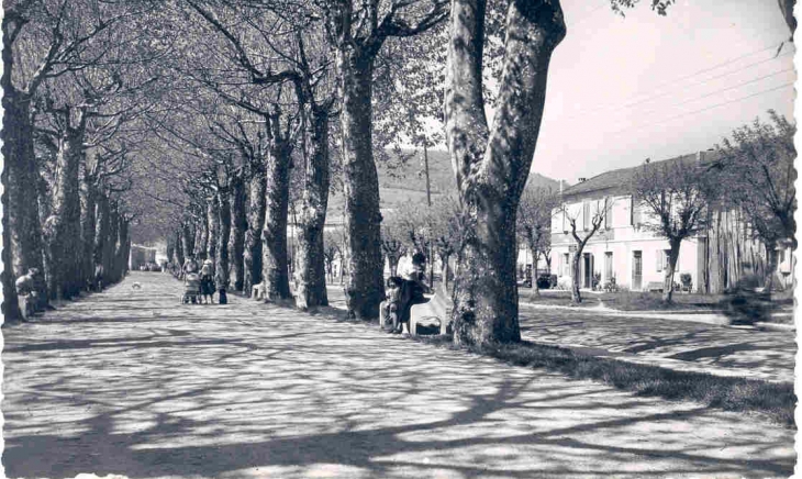 La Promenade vers 1960 - La Bastide-sur-l'Hers