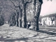 Photo suivante de La Bastide-sur-l'Hers La Promenade vers 1960