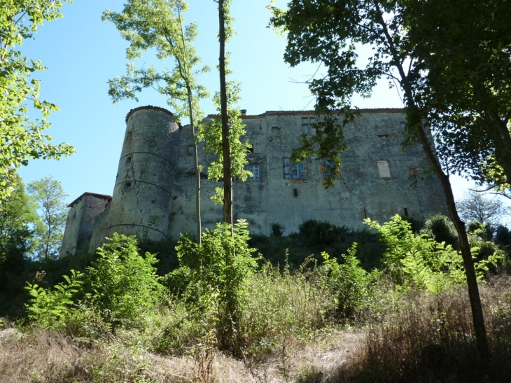 Ruines château  XII - XVIIIème - Pailhès