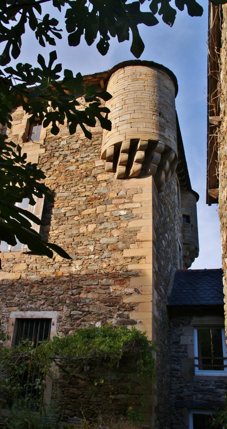 ..Château de Balaguier-sur-Rance