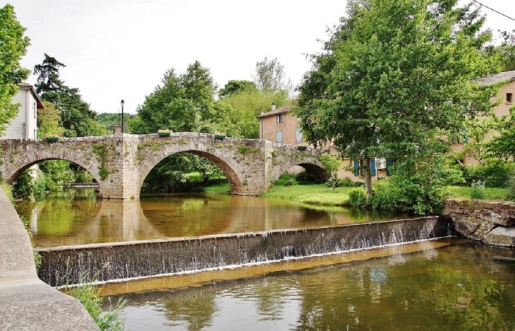 Pont Vieux sur Le Rance - Belmont-sur-Rance