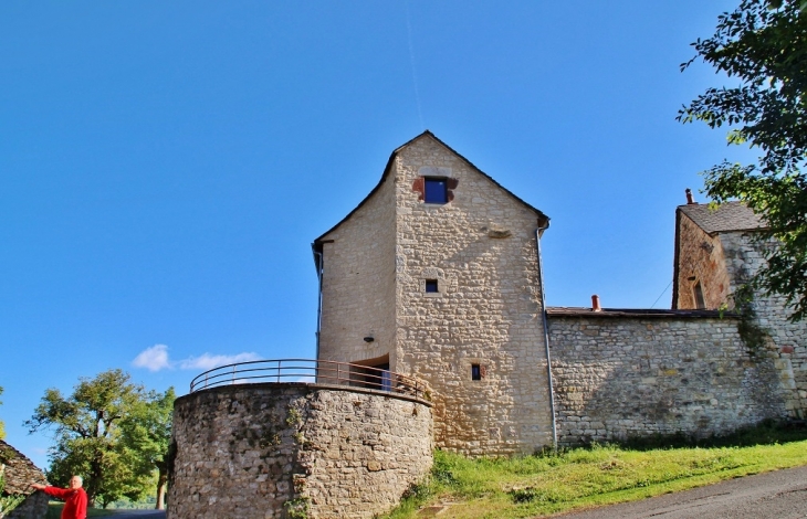++église Saint-Amans - Bertholène