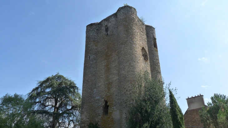 Château - Calmont