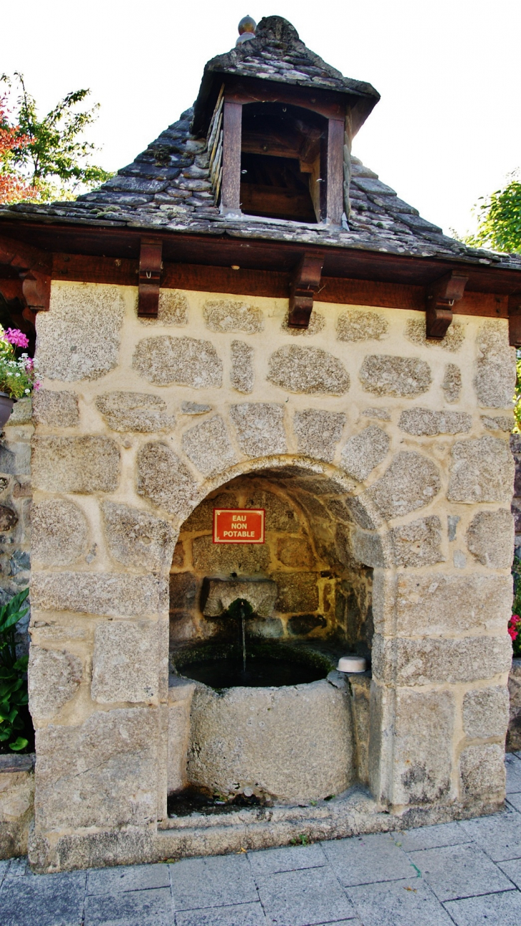 Fontaine ( Banhars )  - Campouriez