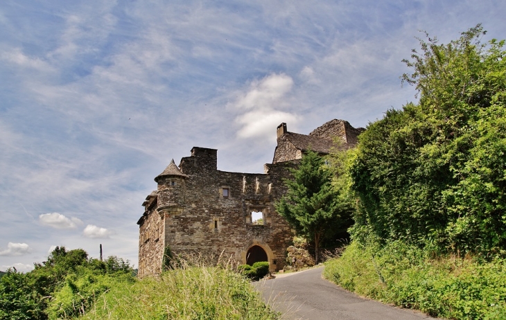 Ruines du Château - Castelnau-de-Mandailles