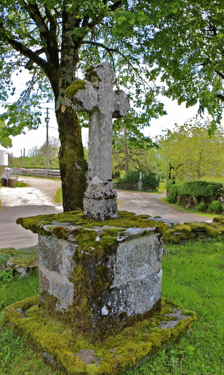 Croix du cimetière du hameau d'Aunac. - Condom-d'Aubrac