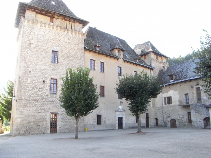 Chateau d'Entraygues-sur-Truyere - Entraygues-sur-Truyère