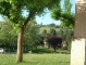 Photo suivante de Firmi la verdure, les arbres, tilleuls, acacias sous le soleil de mai 2011